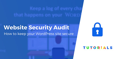 Website security audit