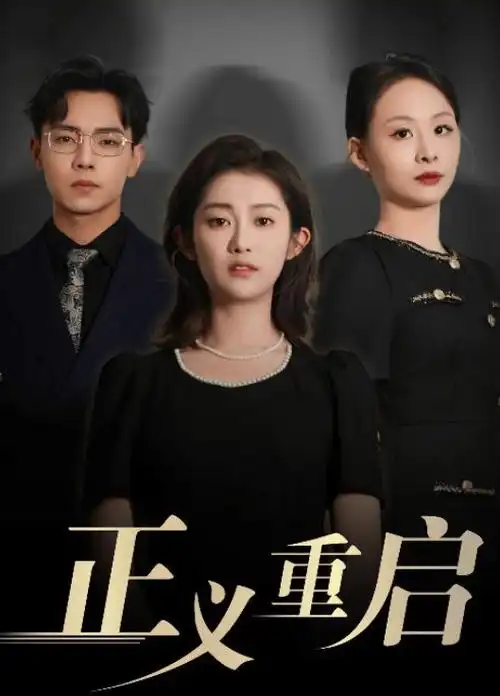 沉默的真相 电视剧海报