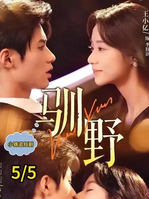 理想之城 电视剧海报